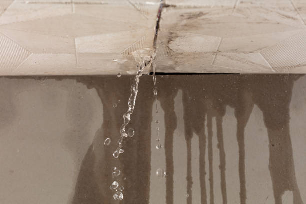 Professional Flood Damage Cleanup technician working in Albertson, NY